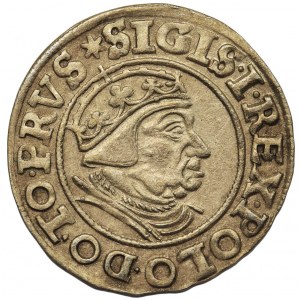 Zygmunt I Stary, Grosz Gdańsk 1539