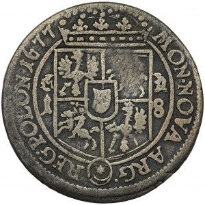 Jan III Sobieski, Ort Bydgoszcz 1677 MH na gałązkach