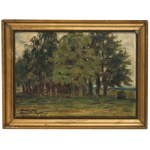 Marian Przybylski Nowina (1884-?), Landscape from Rumanov, 18...