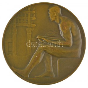 Berán Lajos (1882-1943) 1909. Kőrösi Csoma Sándor 1784-1842 kétoldalas bronz emlékérem...