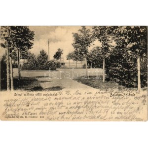 1904 Balatonföldvár, Zrínyi szálloda előtti park. Gerendai Gyula 144. (fa)