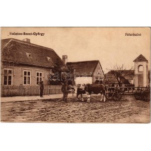 1919 Balatonszentgyörgy, falurészlet, tehenek. Vasúti Levelezőlapárúsítás (fa)