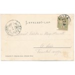 1905 Anina, Stájerlakanina, Steierdorf, Staier; Thinnfeld akna, iparvasút, gőzmozdony, vonat. Hollschütz F. kiadása ...
