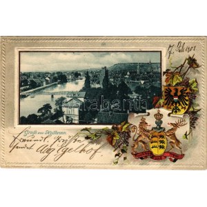 1901 Heilbronn. Art Nouveau, floral embossed montage with coat of arms (EK)