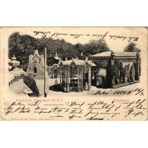 1904 Essentuki (Caucasus), mineral water spring (EK)
