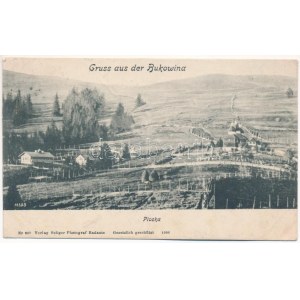 1914 Ploska, Plosca (Putyla, Putilla); Gruss aus der Bukowina / Bukovina (ázott sarok / wet corner)