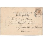 1899 (Vorläufer) Sadhora, Sadagóra, Sadigura; Gruss aus Bukowina / Jewish types from Bukovina, Judaica, synagouge (EK...