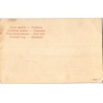 K.u.k. Kriegsmarine SMS Zrínyi Korvette / SMS ZRÍNYI a cs. és kir. haditengerészet Zrínyi-osztályú korvettje / Austro...