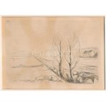 Edvard Munch (1863-1944): Tájkép (Landschaft). Rézkarc, papír, jelzés nélkül. Paszpartuban. Megjelent: Hermann Struck...