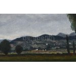 Molnár C. Pál (1894-1981): Hegyvidéki táj. Olaj, falemez, jelzett. Hátoldalán korabeli címkén feliratozott. Fakeretben...