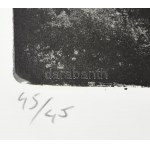 Dús László (1941-): Színes foltok (cím nélkül), 1994. Litográfia, papír, jelzett, számozott (45/45), 65×89 cm ...