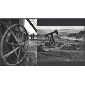 cca 1981 Vincze János (1922-1999) kecskeméti fotóművész hagyatékából 4 db vintage fotóművészeti alkotás ...