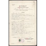 1894-1954 Zsidó család irathagyatéka, feltehetőleg Paul Arma (Weisshaus Imre) rokonságából, 13 db, születési, házassági...