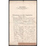 1894-1954 Zsidó család irathagyatéka, feltehetőleg Paul Arma (Weisshaus Imre) rokonságából, 13 db, születési, házassági...