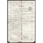 1894-1954 Zsidó család irathagyatéka, feltehetőleg Paul Arma (Weisshaus Imre) rokonságából, 13 db, születési, házassági...