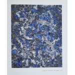 Berecz Ágnes: Simon Hantai. Volume I 1949-1959, Volume II 1960-2001. Bp., 2012-2013, Makláry Artworks. 295+375 p...