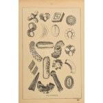 [Kugler Henrik (1830-1905)] Kugler Géza: A legújabb és legteljesebb nagy házi cukrászat czukrászok...