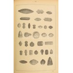 [Kugler Henrik (1830-1905)] Kugler Géza: A legújabb és legteljesebb nagy házi cukrászat czukrászok...