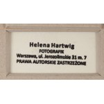 Helena Hartwig (1910 - 1998 ), Deszcz w Wenecji, 1959
