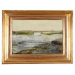 Józef CHEŁMOŃSKI (1849-1914), Lagoon of the Meadow (1891)