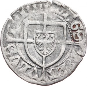 Zakon Krzyżacki, Paweł I Bellitzer von Russdorff 1422-1441, szeląg ok. 1426-1436, Gdańsk