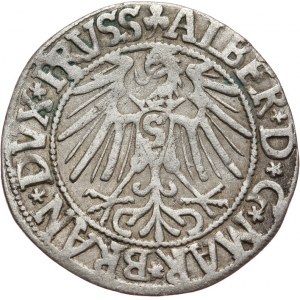 Prusy Książęce, Albrecht Hohenzollern 1525-1568, grosz pruski 1546, Królewiec