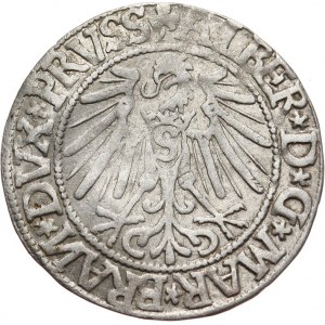 Prusy Książęce, Albrecht Hohenzollern 1525-1568, grosz pruski 1544, Królewiec