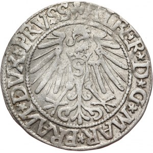 Prusy Książęce, Albrecht Hohenzollern 1525-1568, grosz pruski 1544, Królewiec