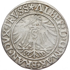 Prusy Książęce, Albrecht Hohenzollern 1525-1568, grosz pruski 1537, Królewiec