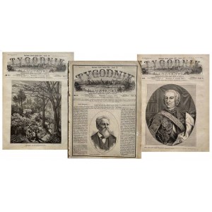 TYGODNIK ILLUSTROWANY 1880 - SIEDEM NUMERÓW