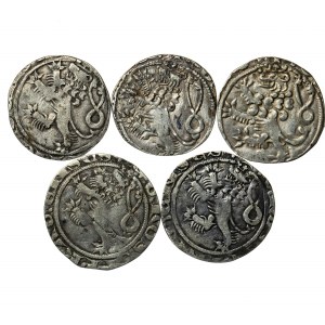 grosze praskie, Jan I (1310-1346), zestaw 5 sztuk