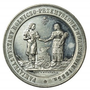 Wystawa Rolniczo-Przemysłowa w Warszawie, 1885, medal
