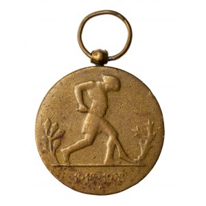 Medal X-lecia Odzyskania Niepodległości, 1918-1928