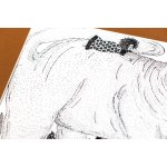 Katarzyna Walentynowicz, Ilustracja do bajki Erny Rosenstein Śpiewka-czarnobrewka stworzona do książki Poławiacz cieni, 2019