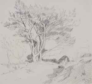 Stanisław ŻURAWSKI, Polska, XIX/XX w. (1889 - 1976), Pejzaż z drzewami, 1928
