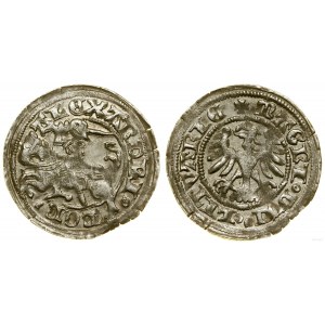 Poland, half-penny, Vilnius