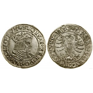 Poland, penny, 1530, Torun