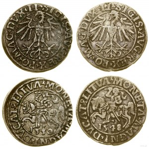 Poland, lot 2 x half-penny, 1548, 1550, Vilnius
