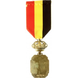 Belgium Medal League of Belgian Musicians in honor of veterans