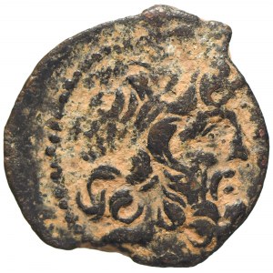 Seleukidzi, Demetriusz II Nikator, Ae-17
