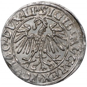 Zygmunt II August, Półgrosz 1547 Wilno - LI/LITVA