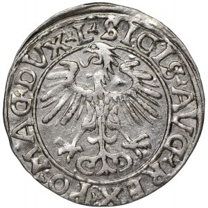 Zygmunt II August, Półgrosz 1556 Wilno - L/LITVA