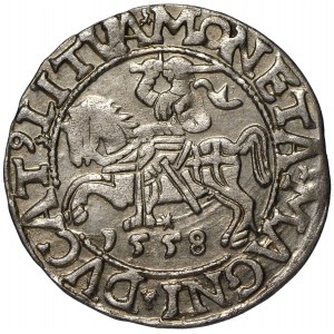 Zygmunt II August, Półgrosz 1558 Wilno - LI/LITVA