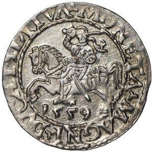 Zygmunt II August, Półgrosz 1559 Wilno - LI/LITVA