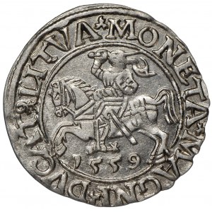 Zygmunt II August, Półgrosz 1559 Wilno - L/LITVA