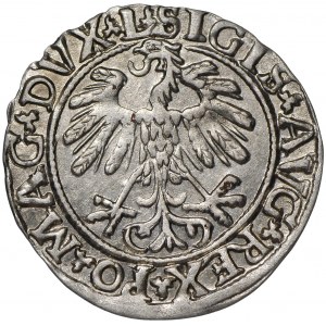 Zygmunt II August, Półgrosz 1559 Wilno - L/LITVA
