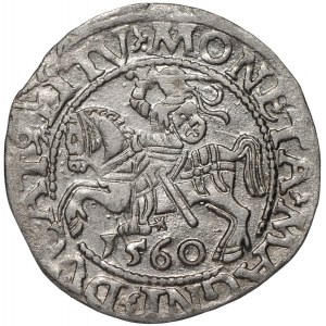 Zygmunt II August, Półgrosz 1560 Wilno - LI/LITV