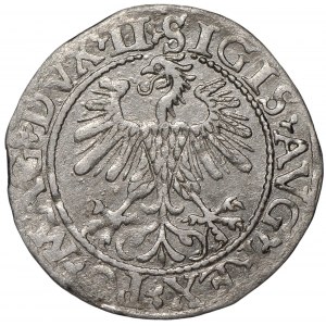 Zygmunt II August, Półgrosz 1560 Wilno - LI/LITV