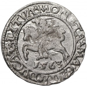 Zygmunt II August, Półgrosz 1563 Wilno - L/LITVA