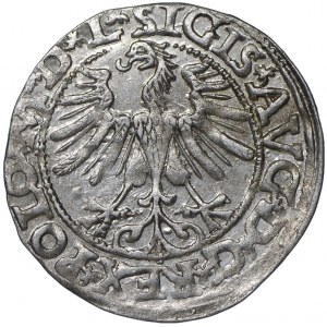 Zygmunt II August, Półgrosz 1565 Wilno - L/LITV